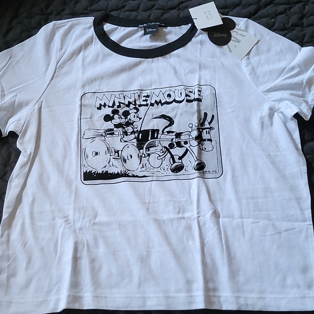 Zara Disney top
